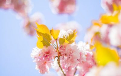 Majowy kurs jogi dla początkujących – 25.05.2021