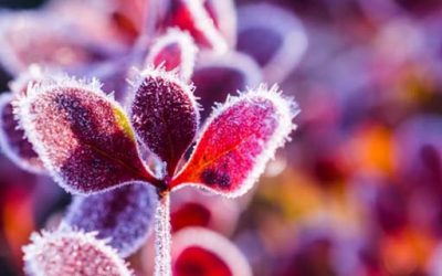 Poranne zajęcia jogi