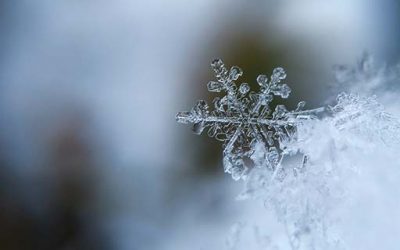 Zimowy kurs jogi dla początkujących – 03 stycznia 2022