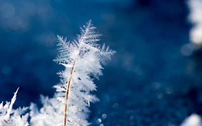 Kurs jogi dla początkujących – 03 lutego 2022