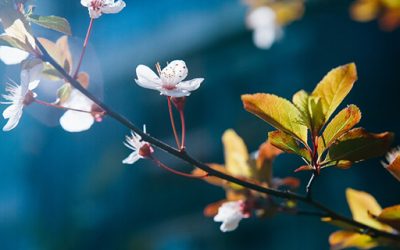 Wiosenny kurs jogi dla początkujących – 2 marca 2022