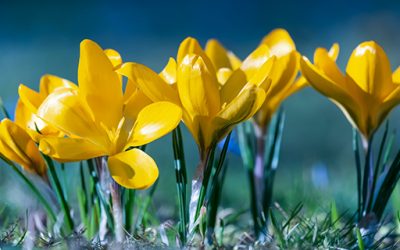 Kurs jogi dla początkujących – 31 marca 2022