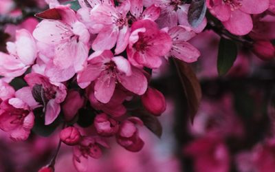 Kurs jogi dla początkujących – 9 maja 2022