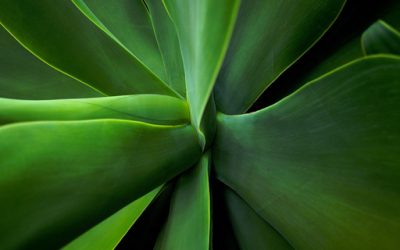 Piątkowy kurs jogi dla początkujących – 22 kwietnia 2022