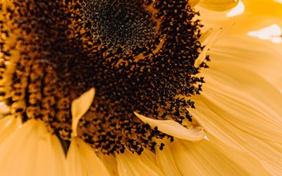 Kurs jogi dla początkujących – 7 czerwca 2022